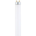 Fluorescent Light Bulb 17W 3500K Medium Bi-Pin E803624
