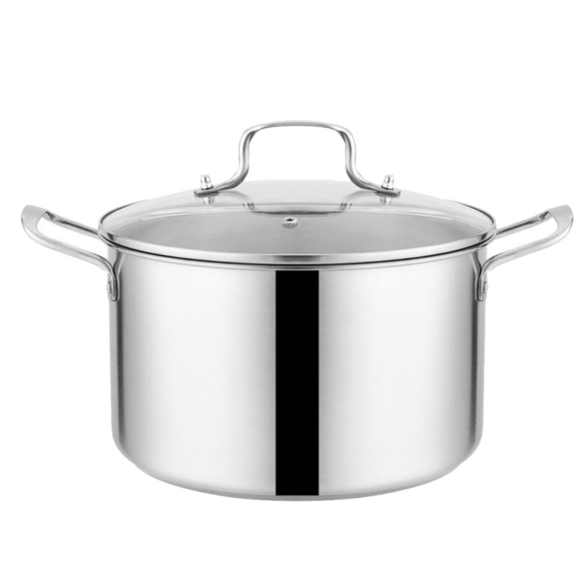 Stainless Steel Stockpot Q929542