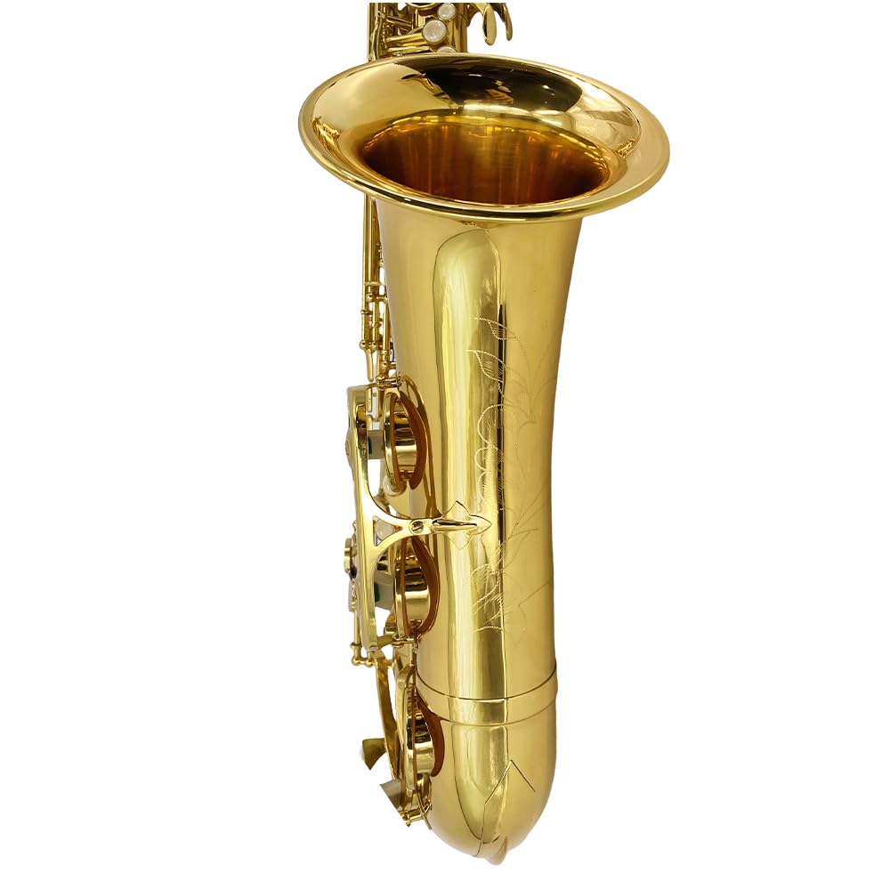 Bb Tenor Saxophone Beginner Kit with Hard Case W373