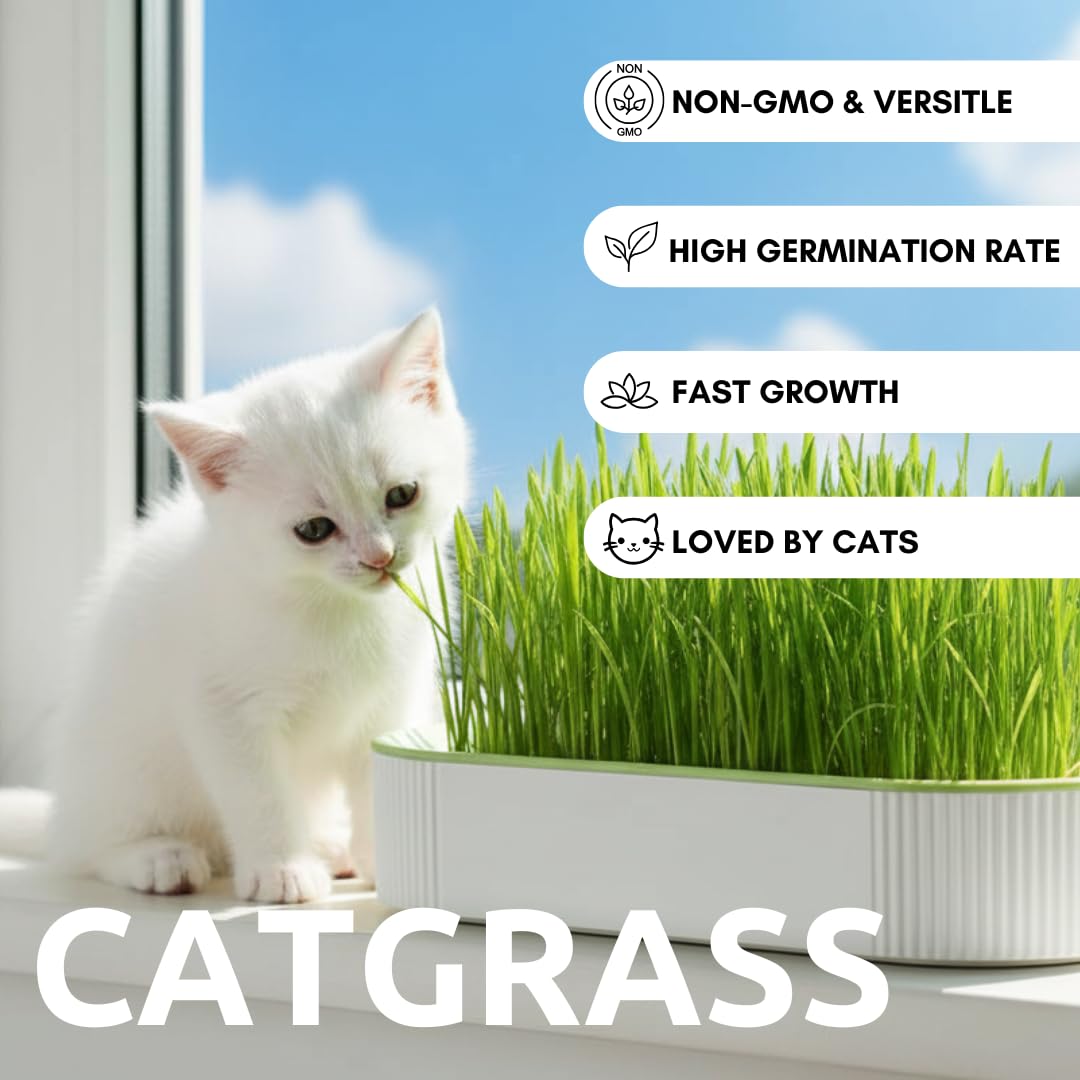 Hydroponic Cat Grass Grow Kit with 2 Oz Non-GMO Seeds Y917475