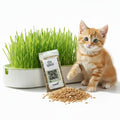 Hydroponic Cat Grass Grow Kit with 2 Oz Non-GMO Seeds Y917475