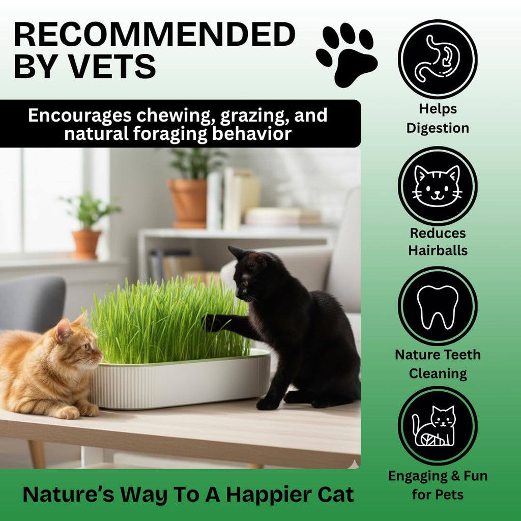 Hydroponic Cat Grass Grow Kit with 2 Oz Non-GMO Seeds Y917475