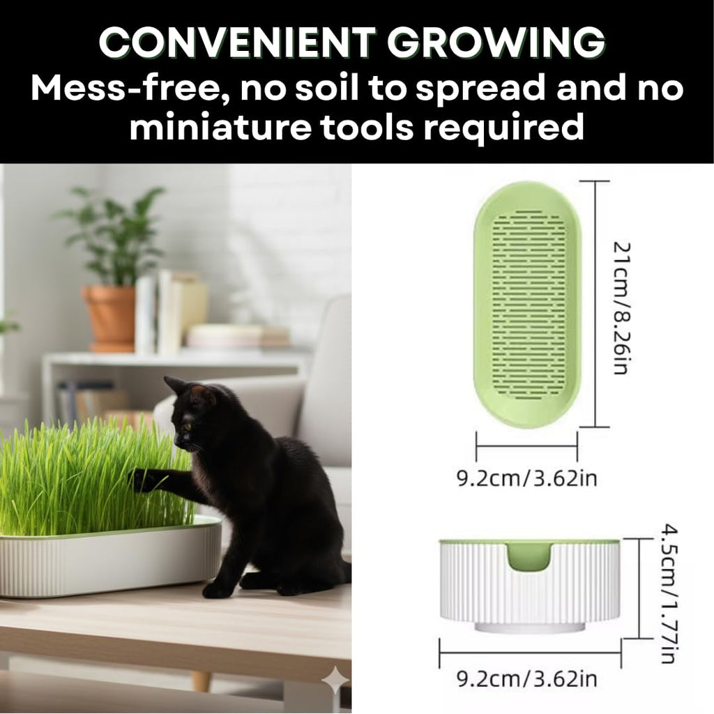 Hydroponic Cat Grass Grow Kit with 2 Oz Non-GMO Seeds Y917475