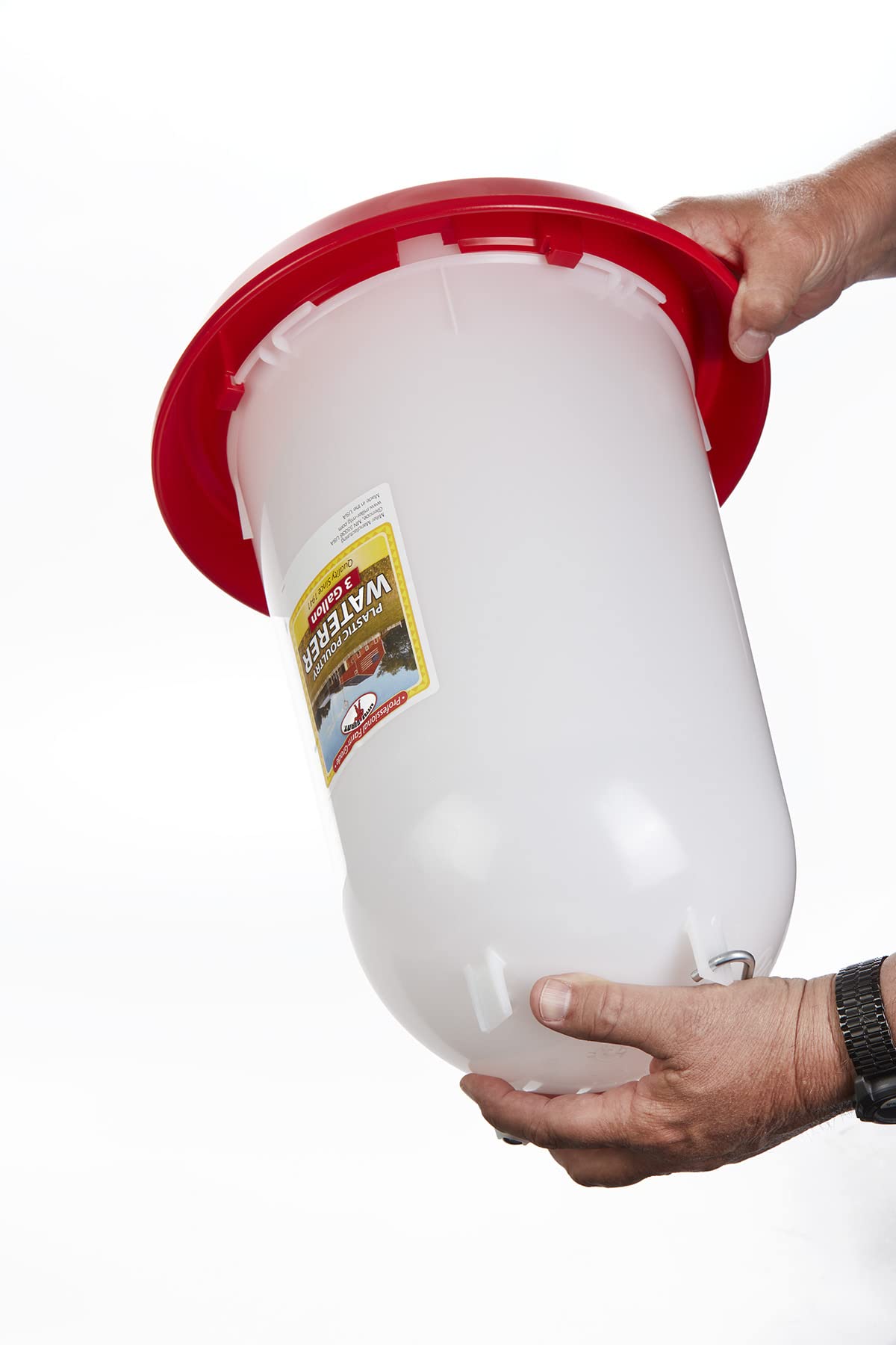 3 Gallon Plastic Poultry Waterer with Handle Z18508