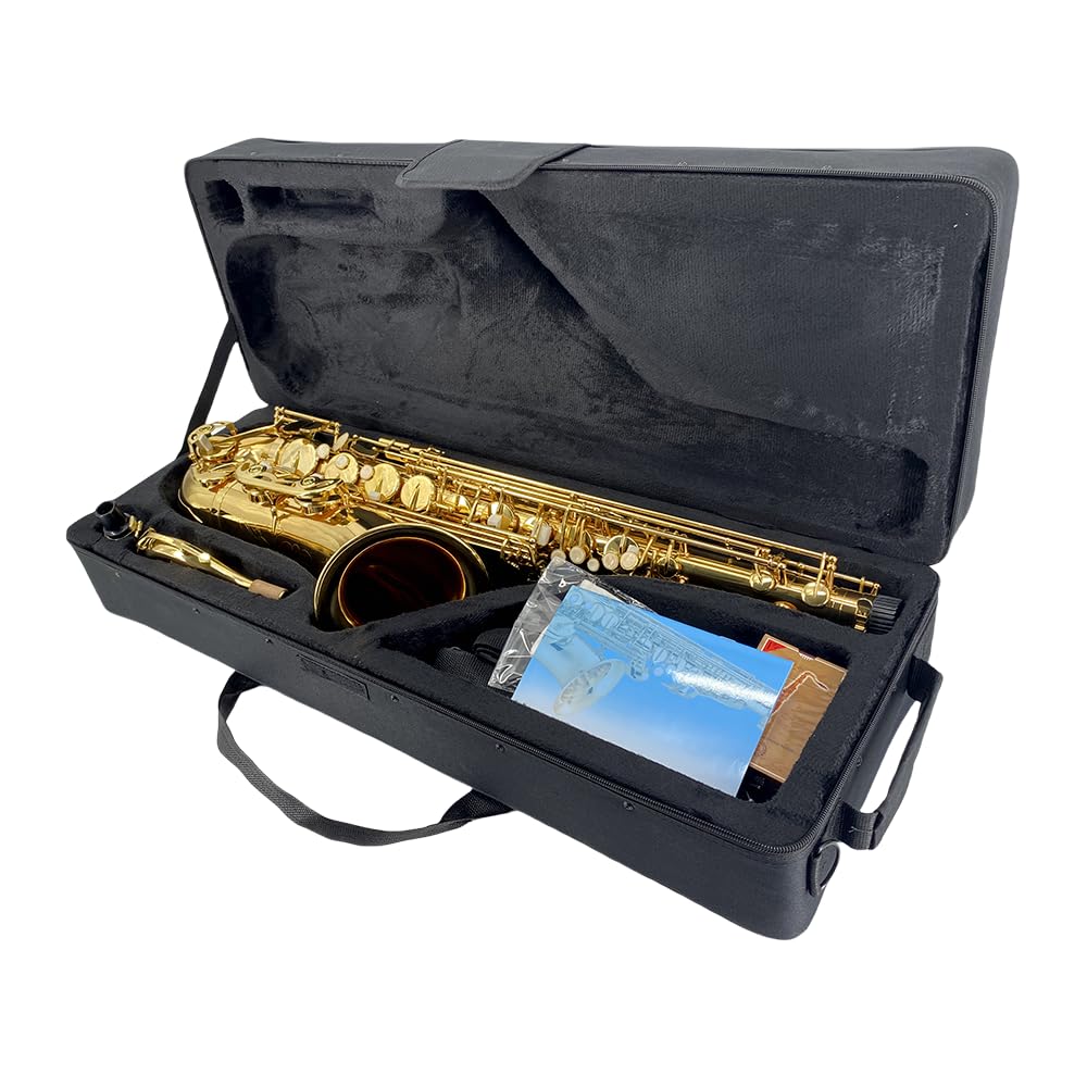 Bb Tenor Saxophone Beginner Kit with Hard Case W373