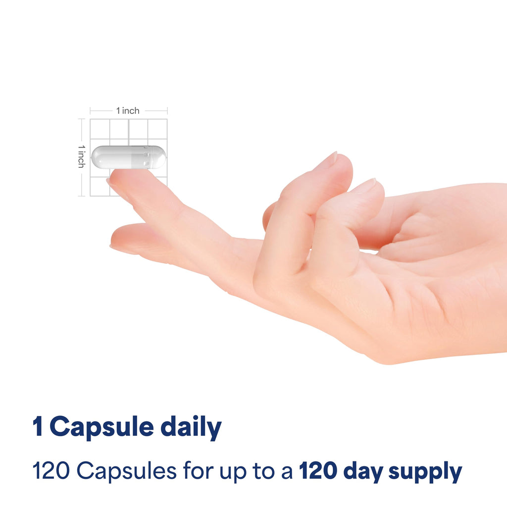 Red Yeast Rice 600mg 240 Capsules D9575