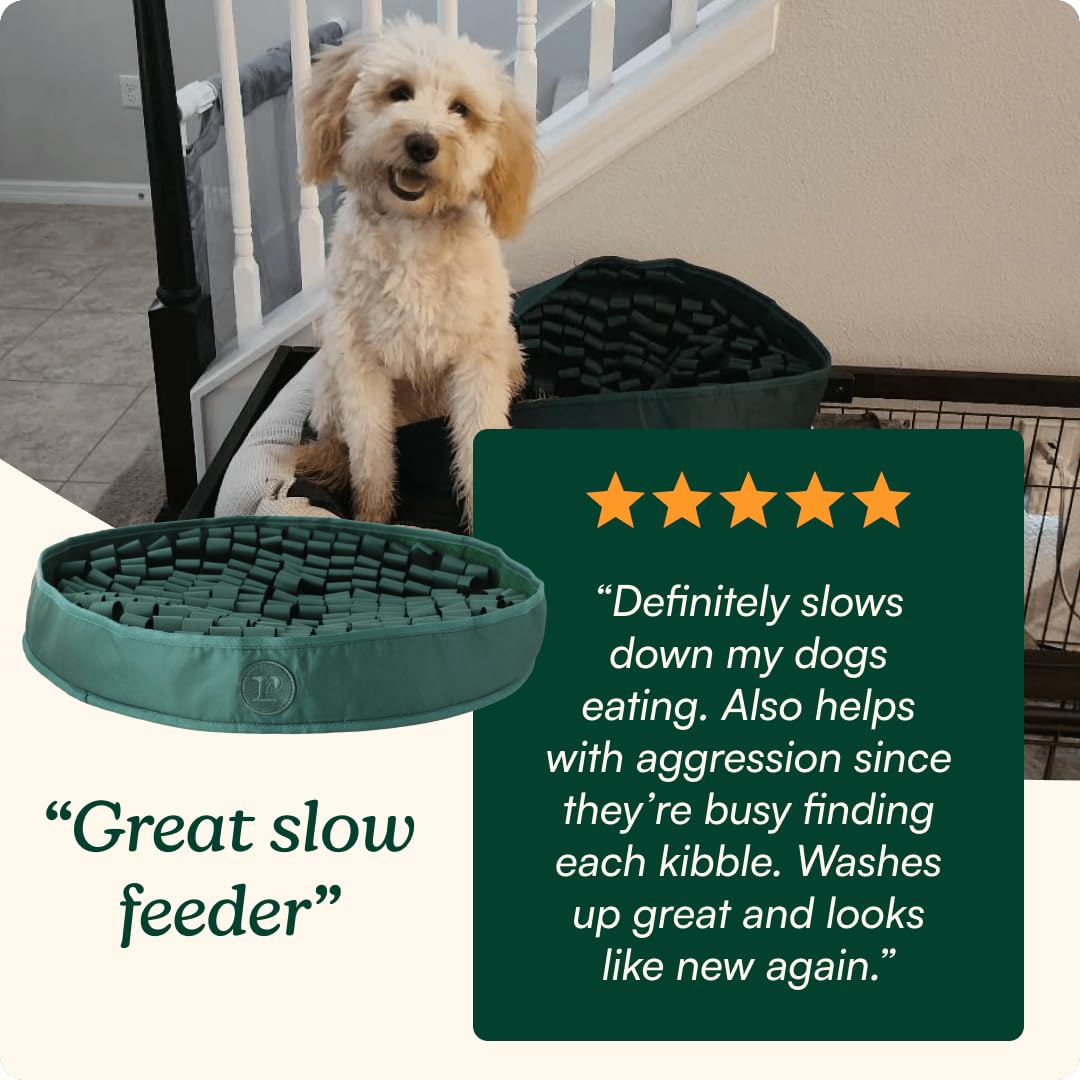 Hunter Green Snuffle Mat for Dogs F86853