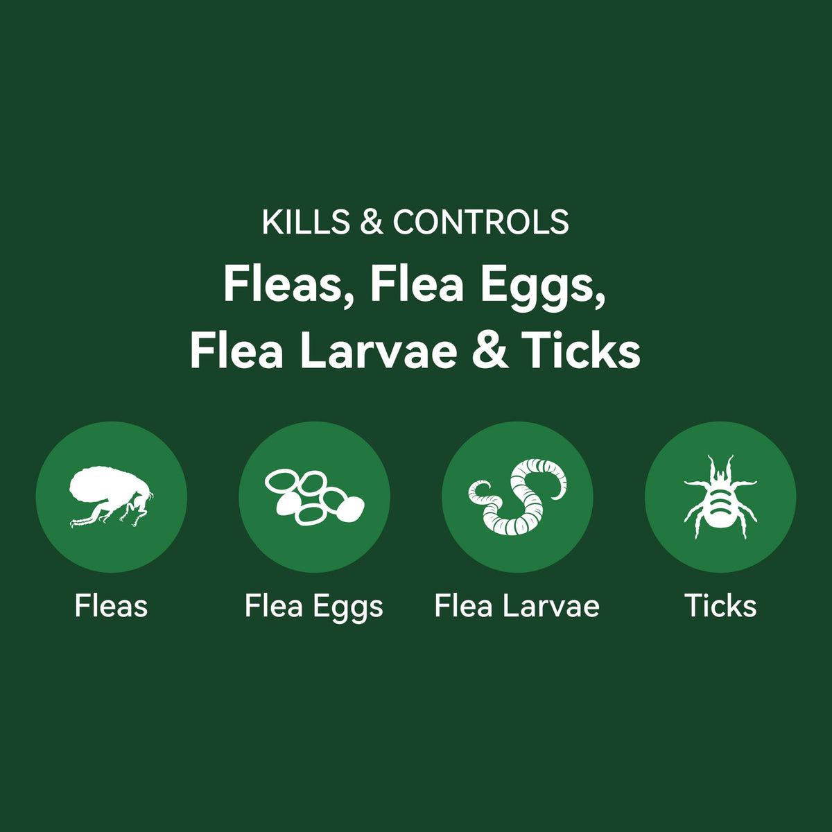 Cat Flea and Tick Treatment 6-Month Supply X3935