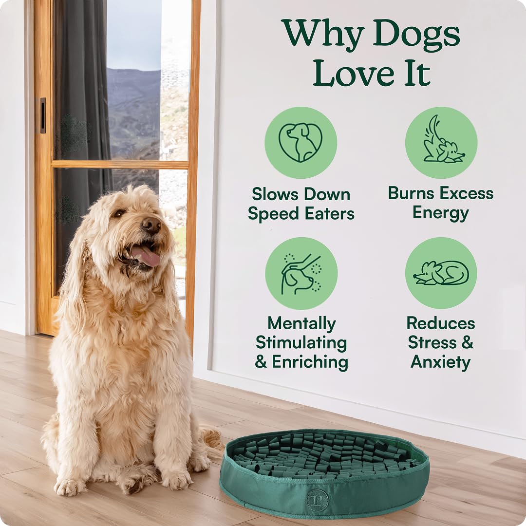 Hunter Green Snuffle Mat for Dogs F86853