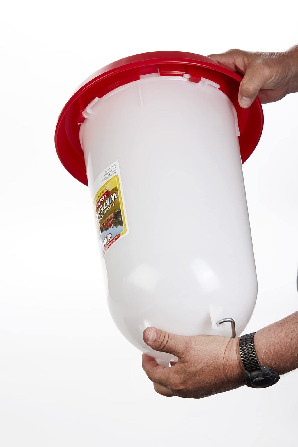 3 Gallon Plastic Poultry Waterer with Handle Z18508