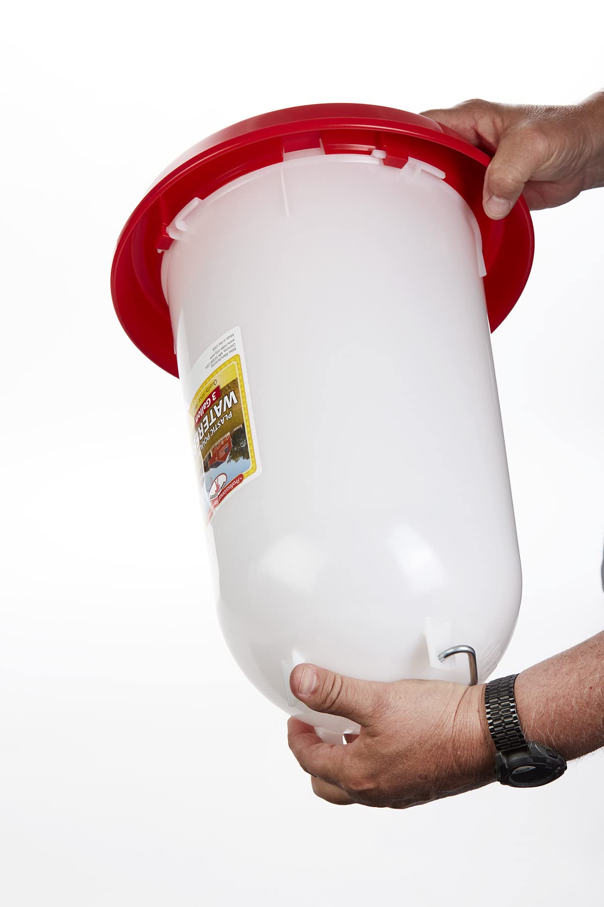 3 Gallon Plastic Poultry Waterer with Handle Z18508