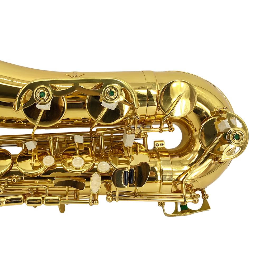 Bb Tenor Saxophone Beginner Kit with Hard Case W373