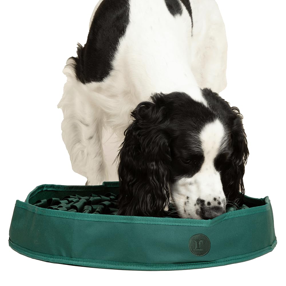 Hunter Green Snuffle Mat for Dogs F86853