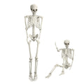 5.4FT Halloween Skeleton with Movable Joints V730255