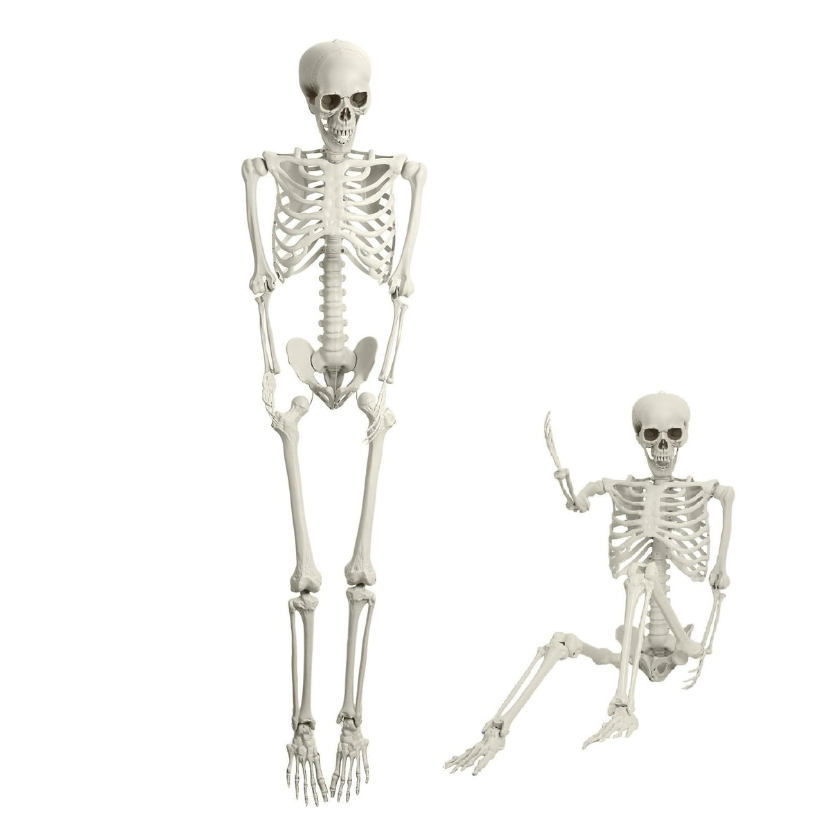 5.4FT Halloween Skeleton with Movable Joints V730255