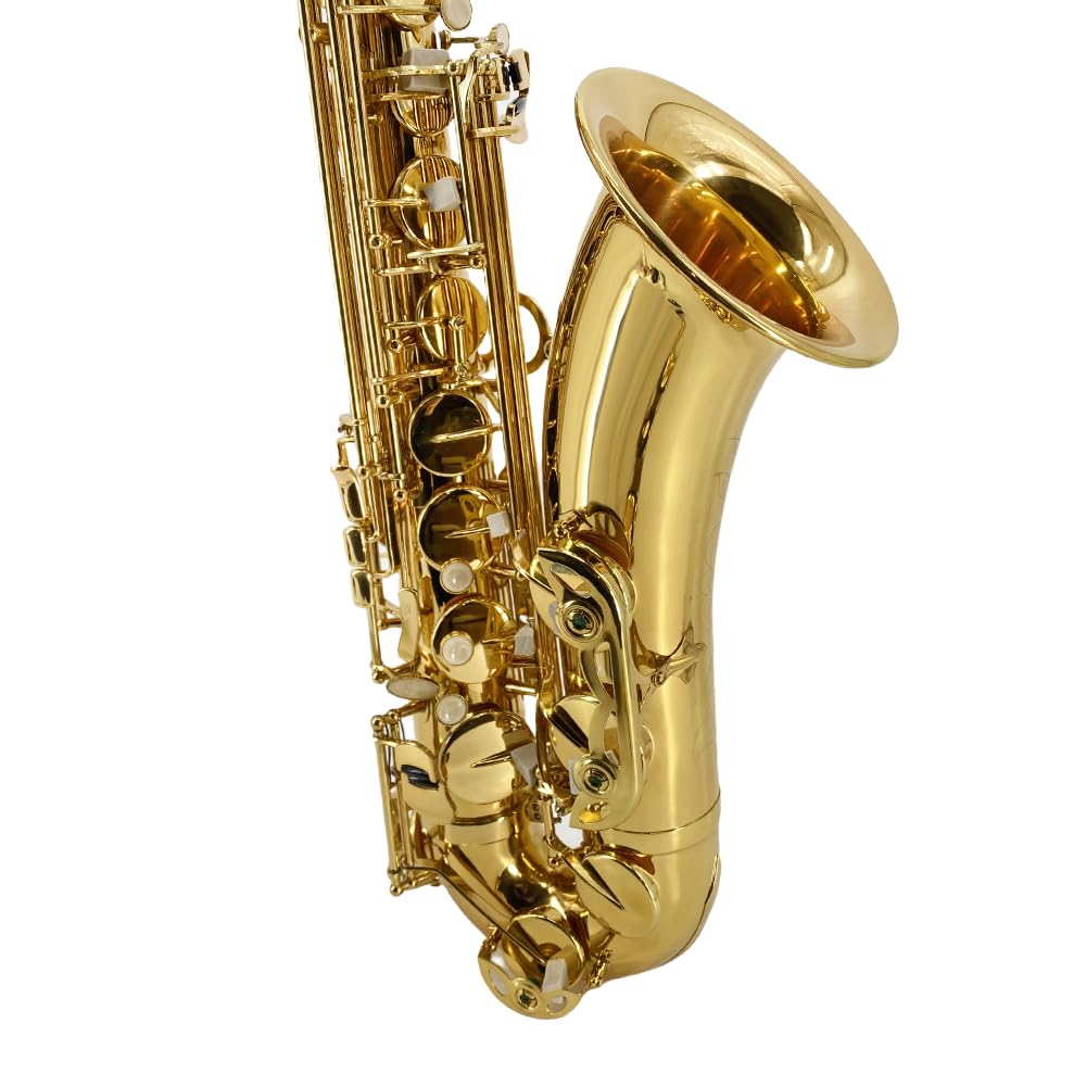 Bb Tenor Saxophone Beginner Kit with Hard Case W373