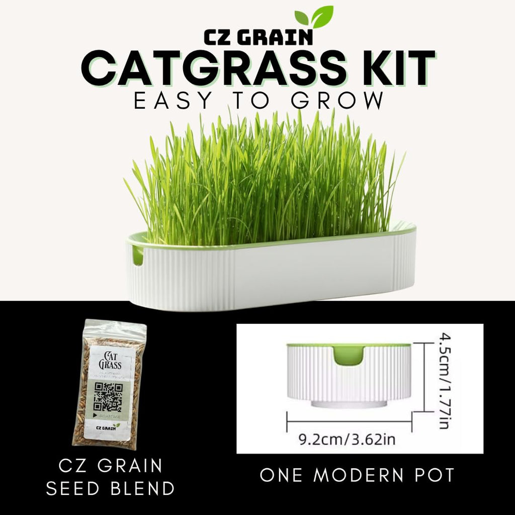 Hydroponic Cat Grass Grow Kit with 2 Oz Non-GMO Seeds Y917475