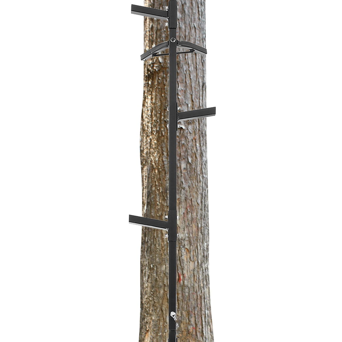 20 ft Climbing Stick Ladder U74068