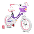 Girls Bike for Toddlers and Kids G917679