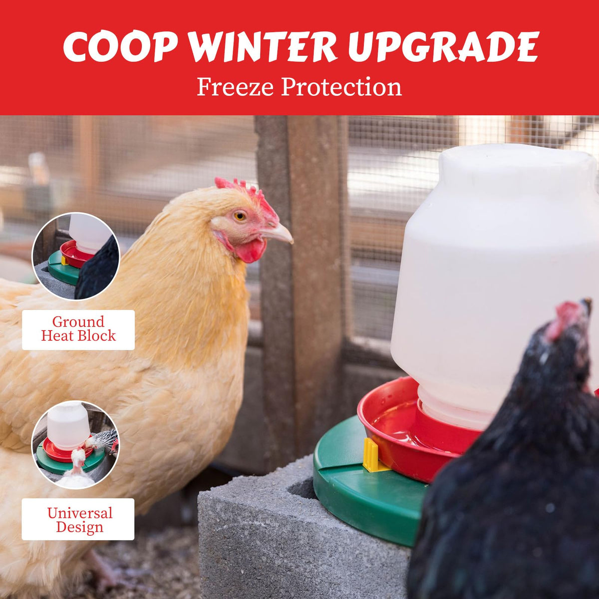 28W Heated Poultry Waterer Base T838527