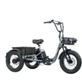 Folding Electric Tricycle for Adults 2 Seater 1000W 48V 15AH H540