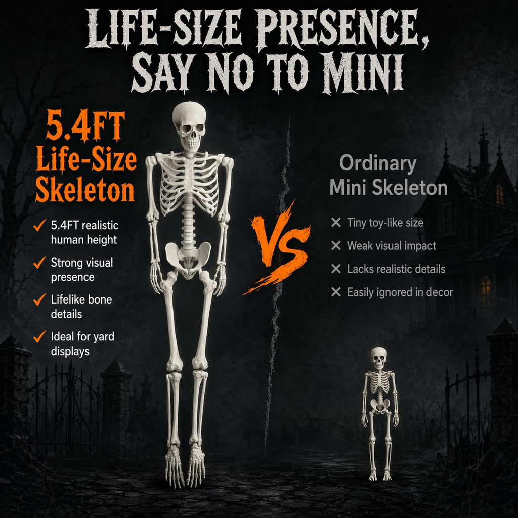 5.4FT Halloween Skeleton with Movable Joints V730255