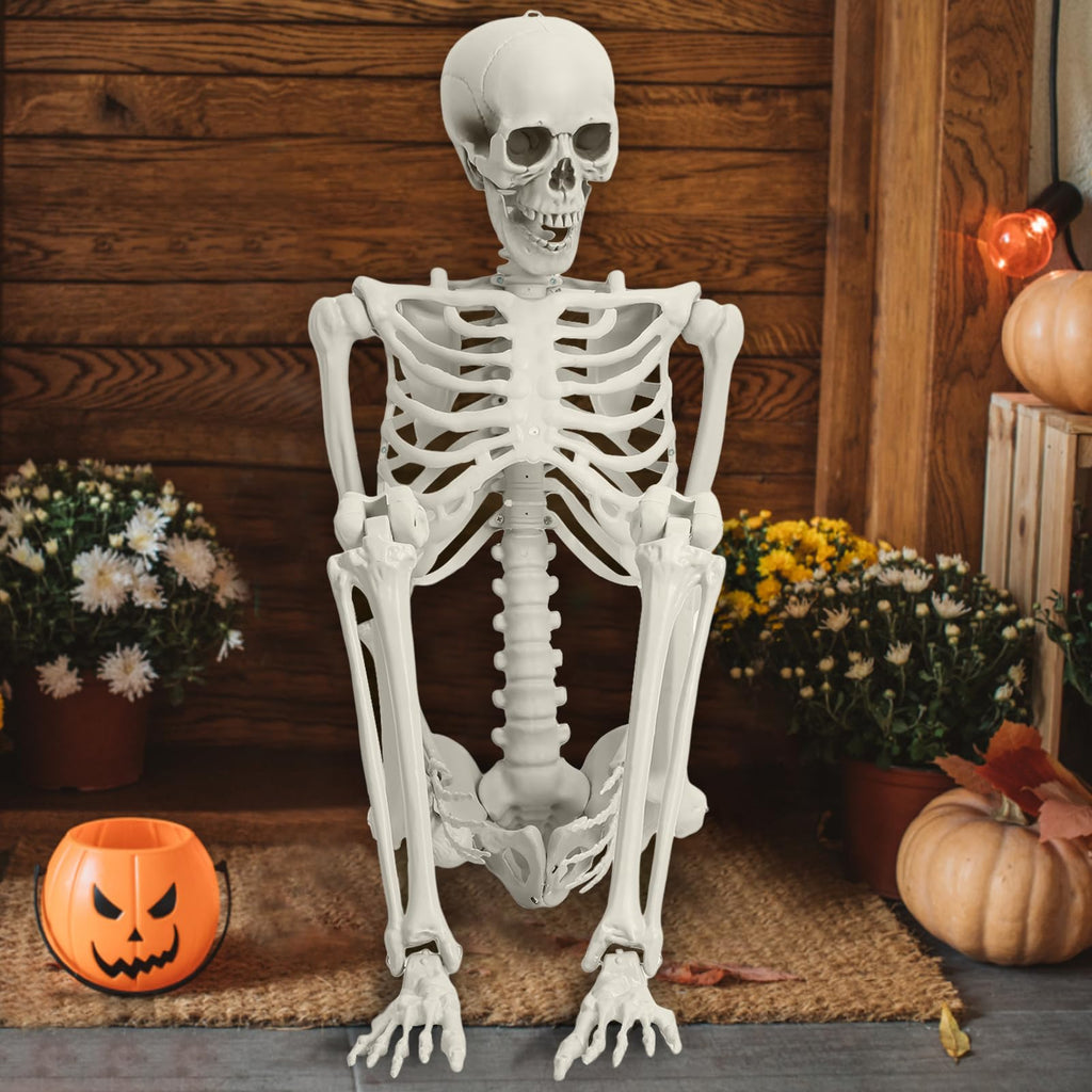 5.4FT Halloween Skeleton with Movable Joints V730255