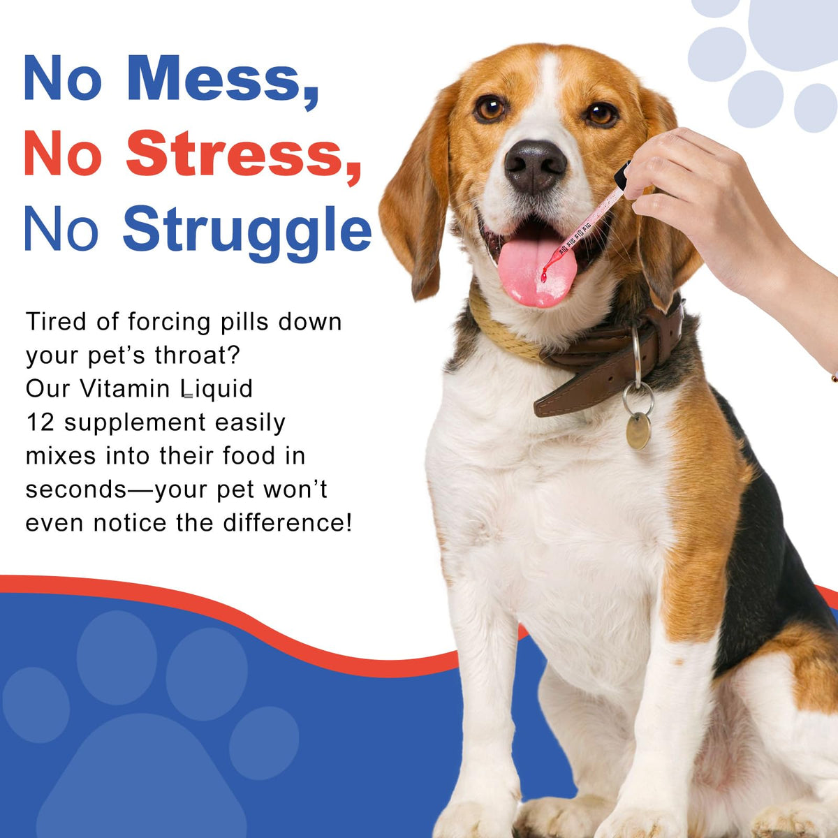 Vitamin B12 Liquid for Dogs N96598