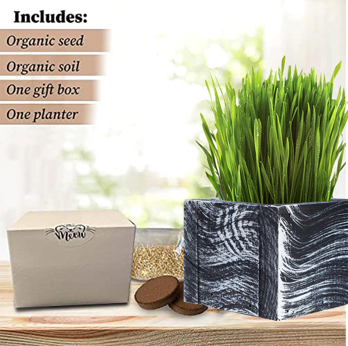 Organic Cat Grass Kit with Planter, Seeds and Soil B23085