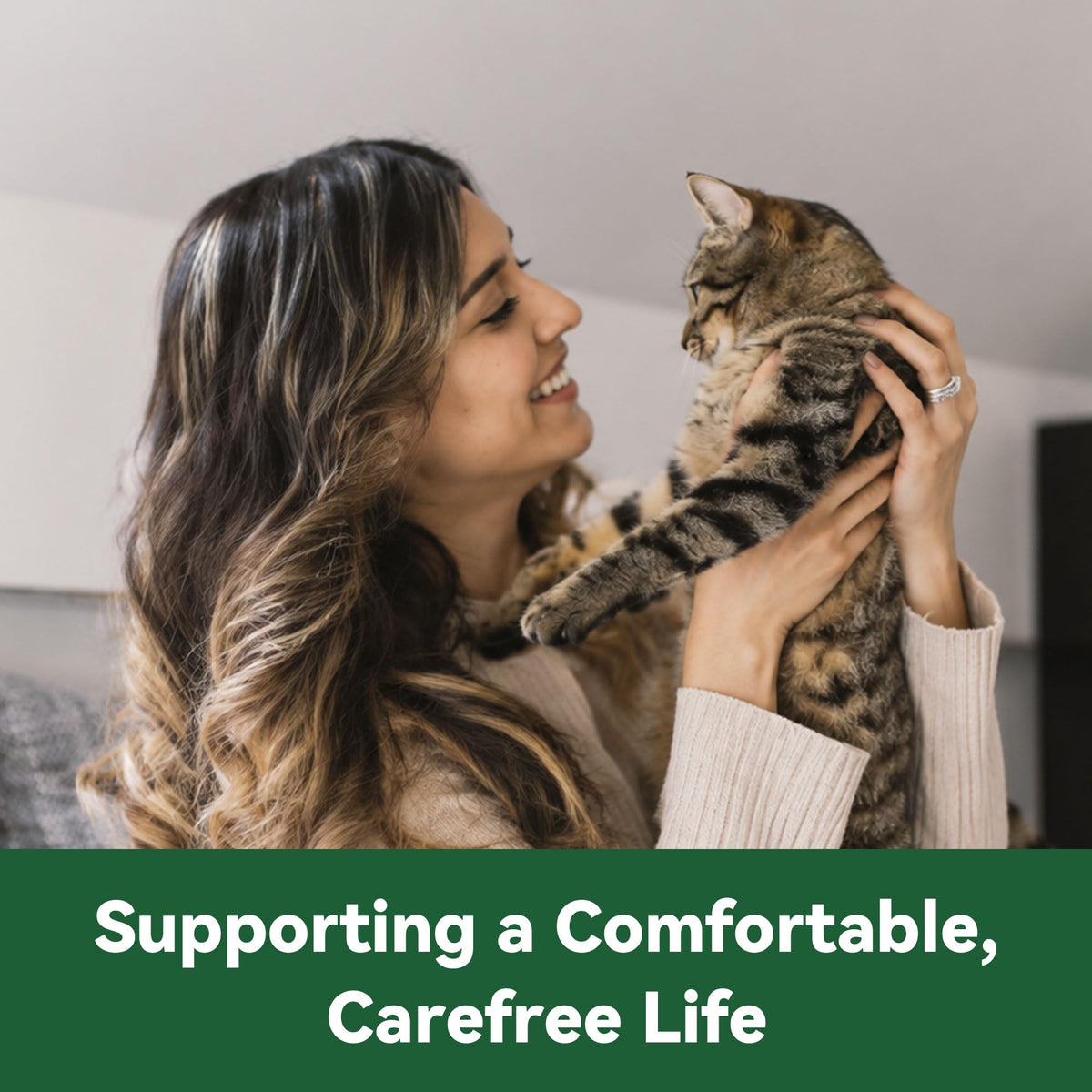 Cat Flea and Tick Treatment 6-Month Supply X3935