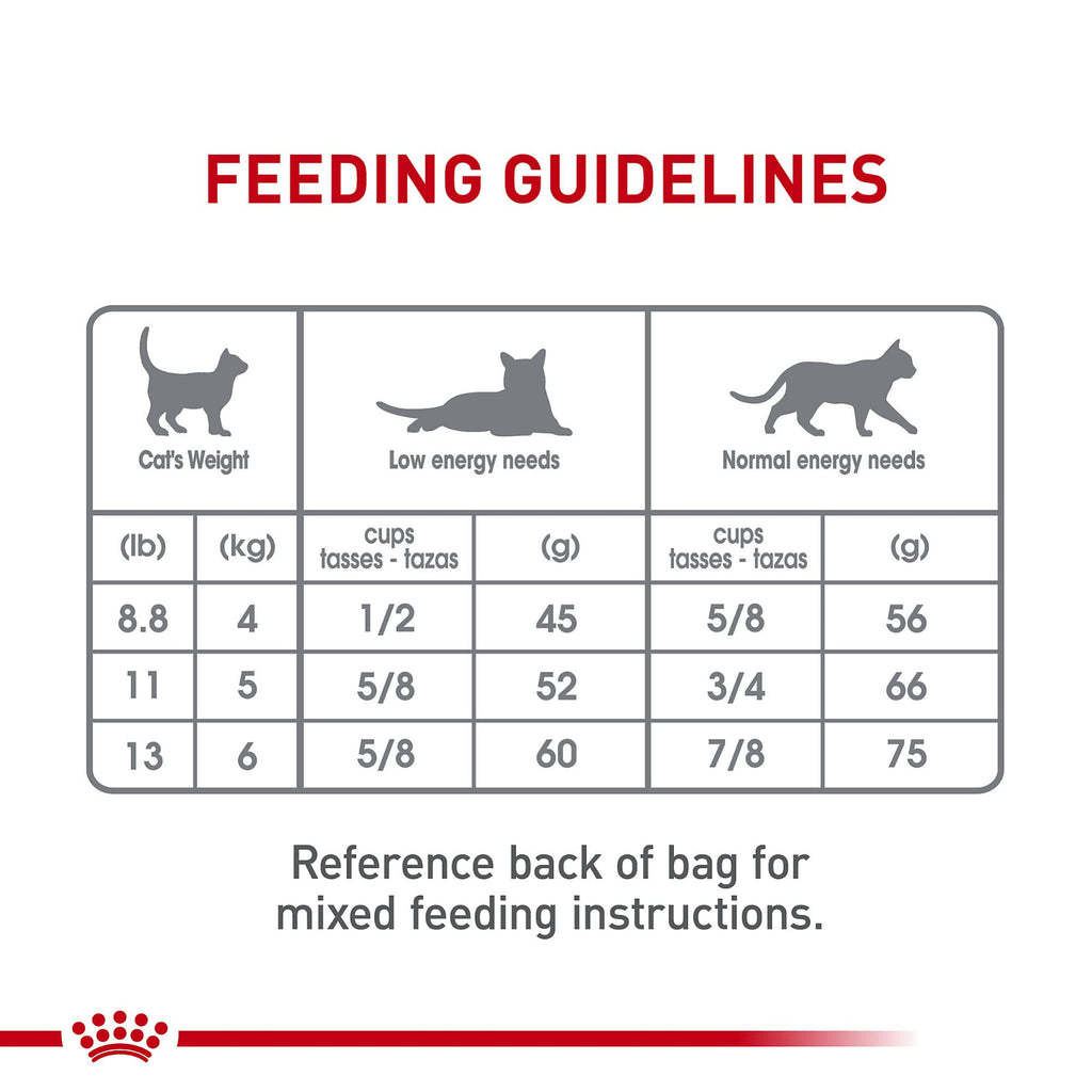 Adult Dry Cat Food 6 lb Bag Z94056