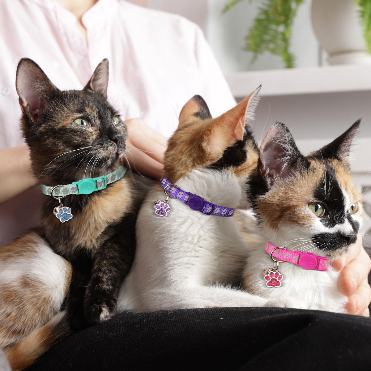 Breakaway Cat Collars with Bells 4PCS O772