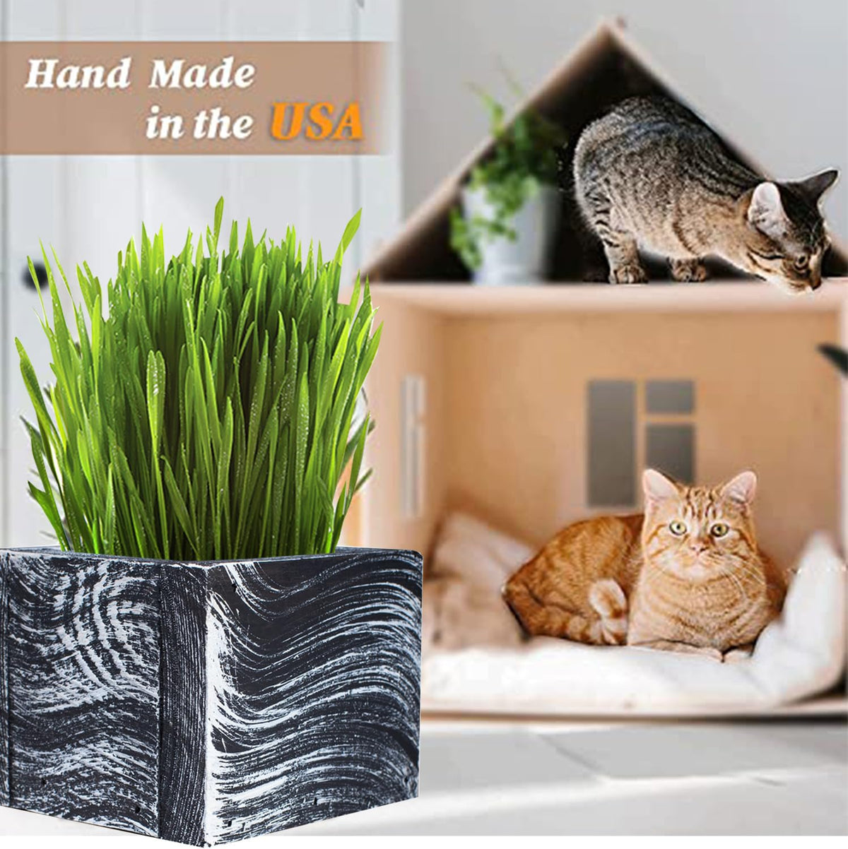 Organic Cat Grass Kit with Planter, Seeds and Soil B23085