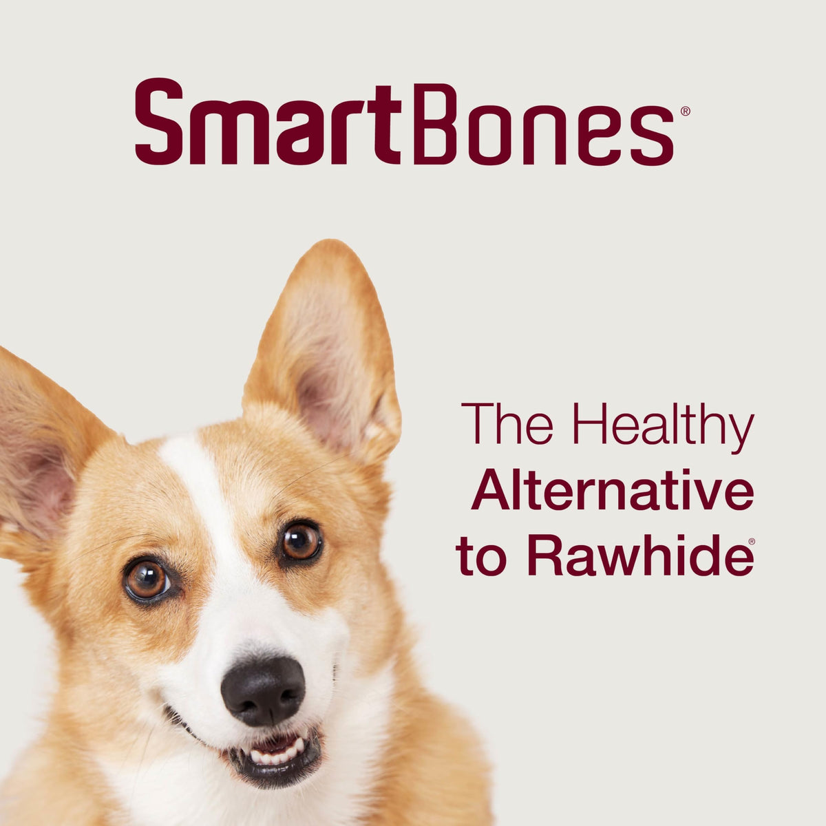 Mini Rawhide-Free Chews for Dogs I157765
