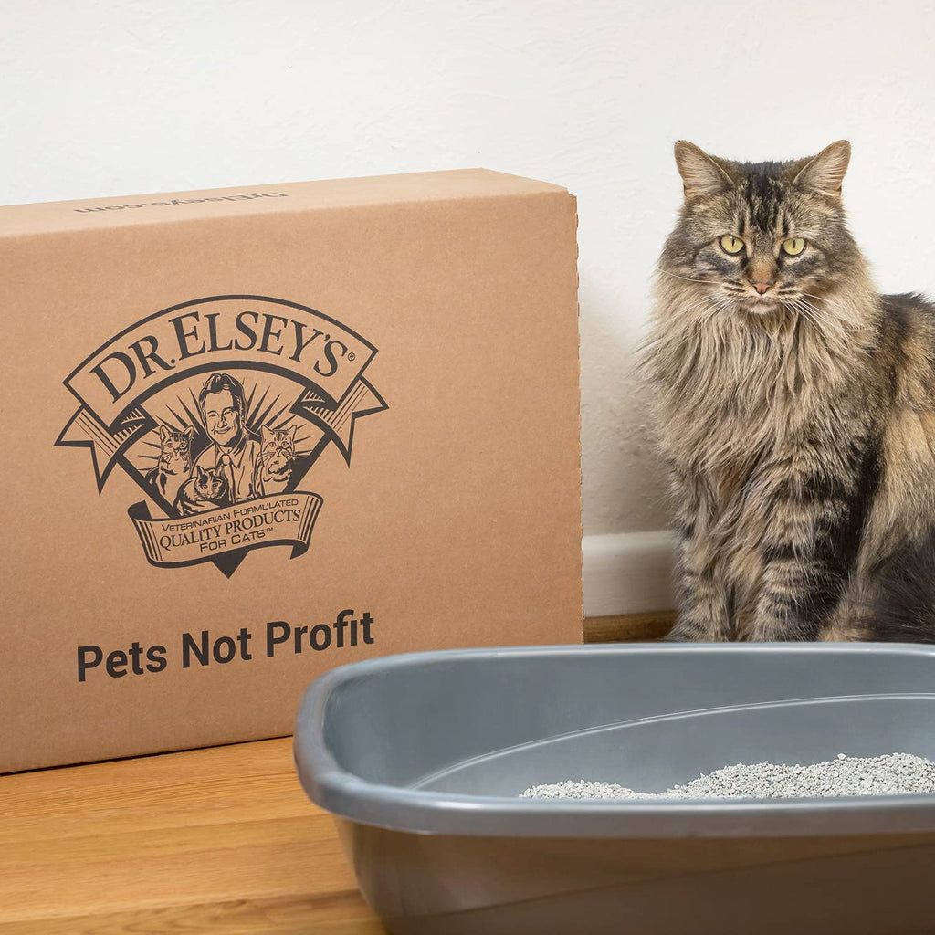 Clumping Clay Cat Litter 18 lb. Bag A72085