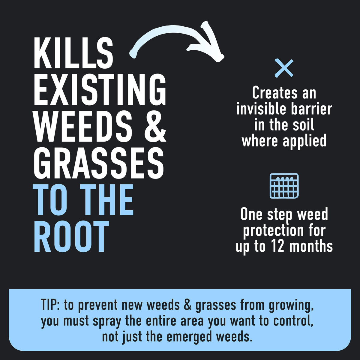 Weed & Grass Killer Plus 12 Month Preventer, 1 gal., Wand (Pack of 4) S459219