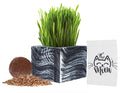 Organic Cat Grass Kit with Planter, Seeds and Soil B23085