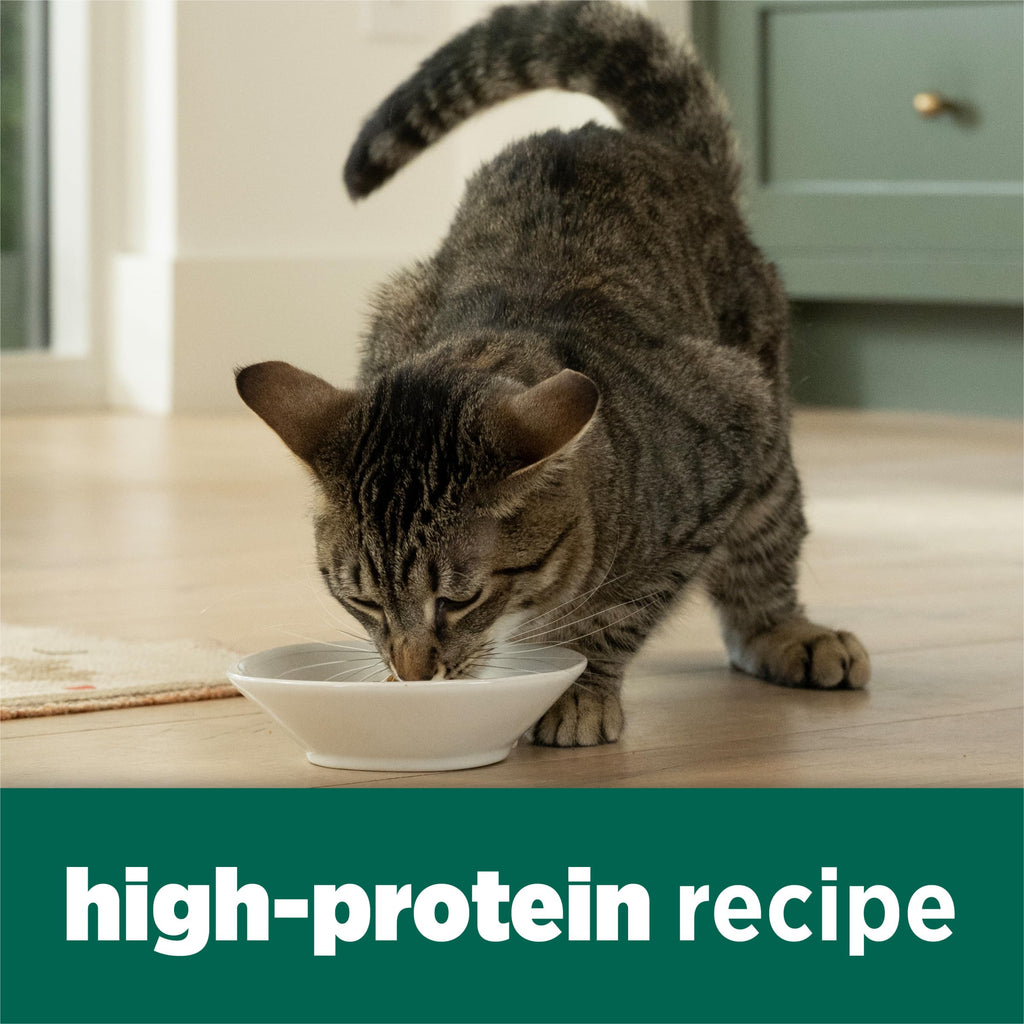 High Protein Dry Cat Food, 13 lb Bags Z540