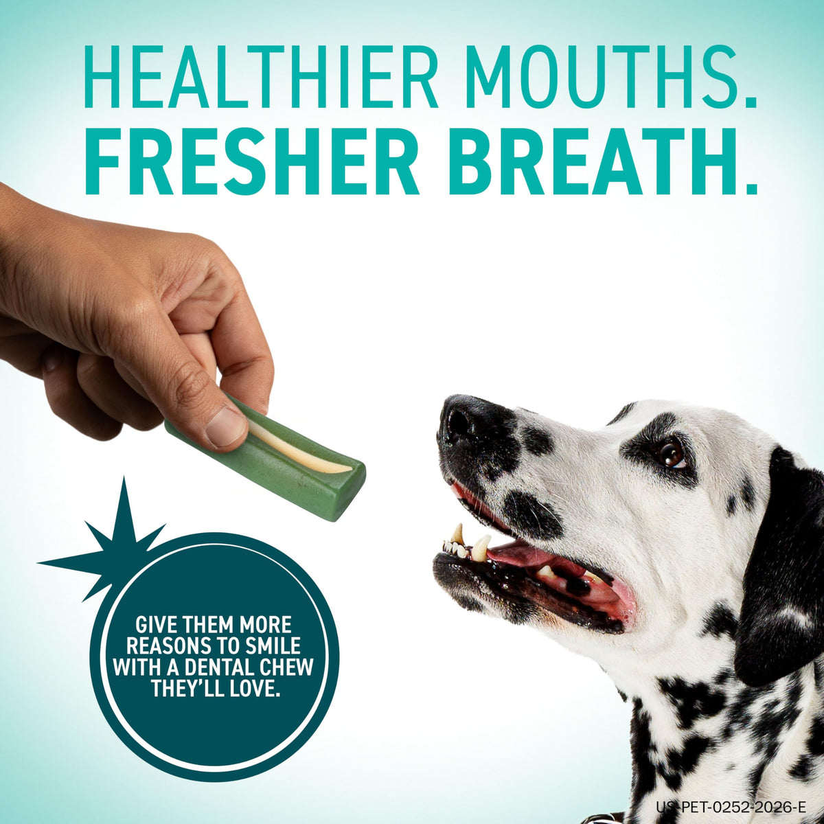 Dental Chews for Dogs 30 Count D47898