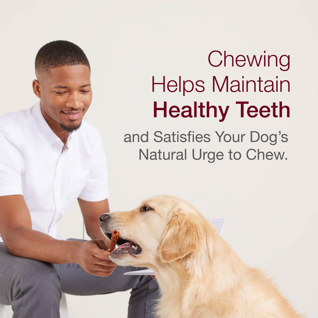 Mini Rawhide-Free Chews for Dogs I157765
