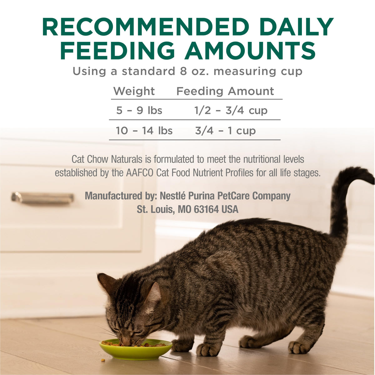 High Protein Dry Cat Food, 13 lb Bags Z540
