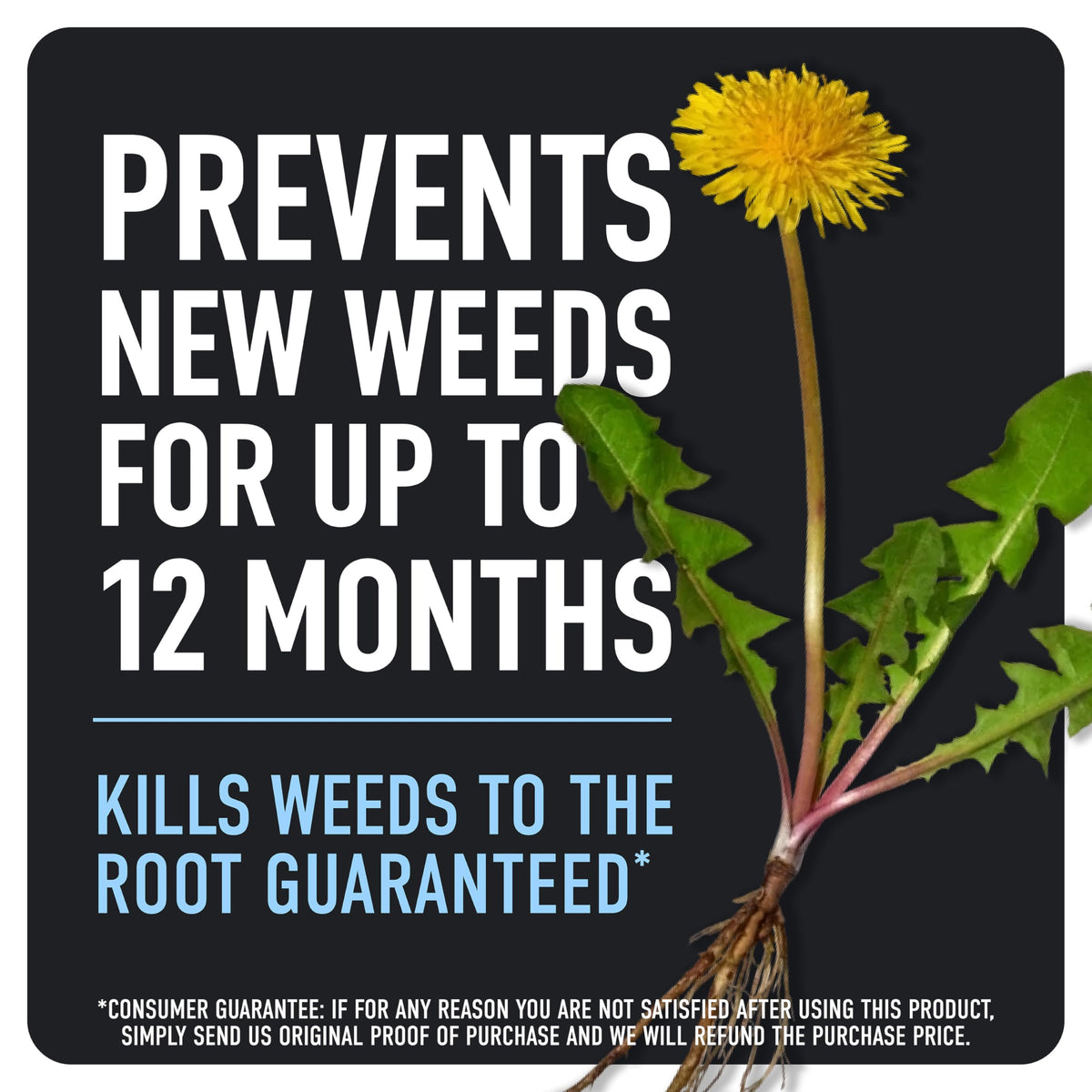Weed & Grass Killer Plus 12 Month Preventer, 1 gal., Wand (Pack of 4) S459219