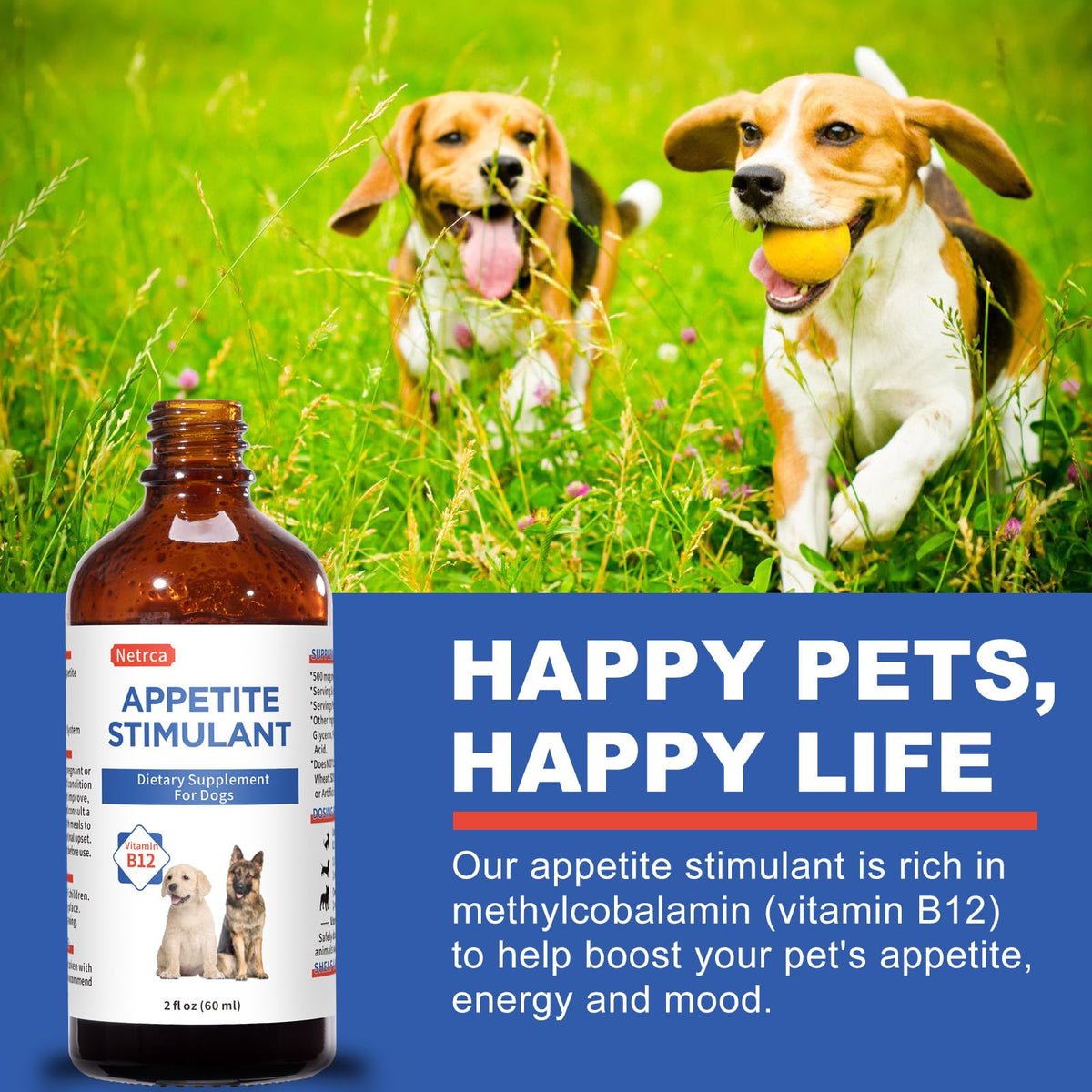 Vitamin B12 Liquid for Dogs N96598