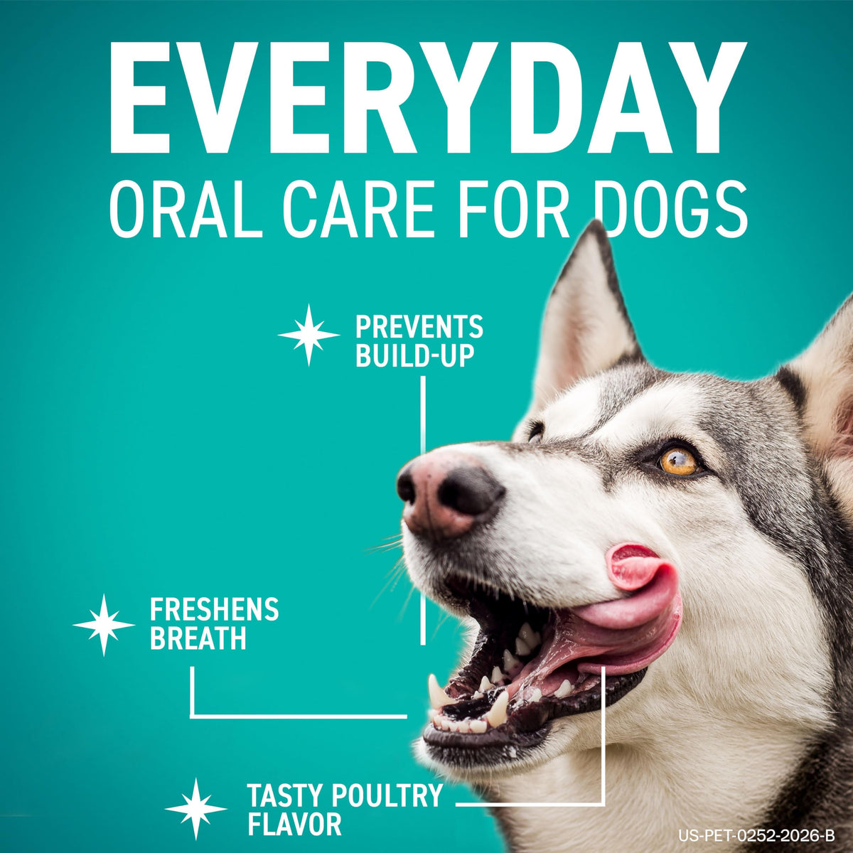 Dental Chews for Dogs 30 Count D47898