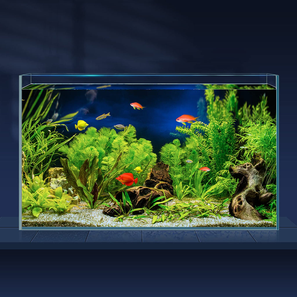 10 Gallon Ultra Clear Rimless Low Iron Glass Fish Tank N97938