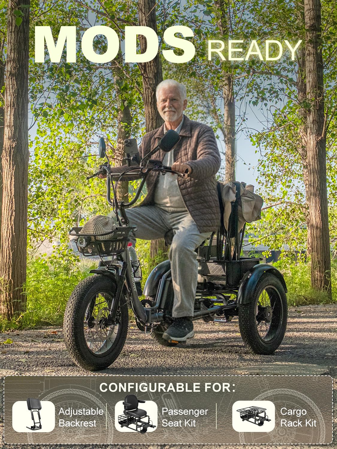 Folding Electric Tricycle for Adults 2 Seater 1000W 48V 15AH H540