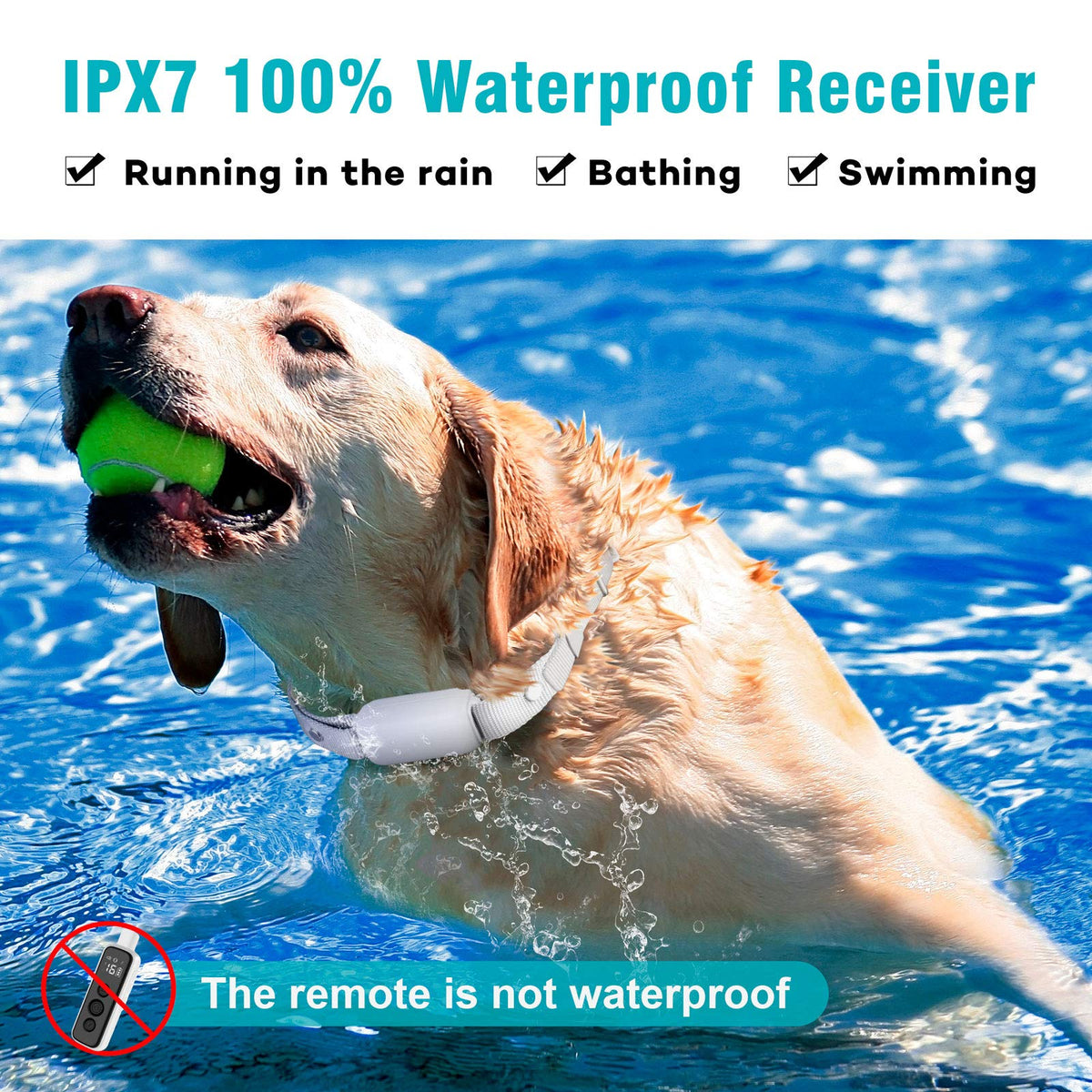 Waterproof Rechargeable Electric Dog Training Collar with Remote U28430