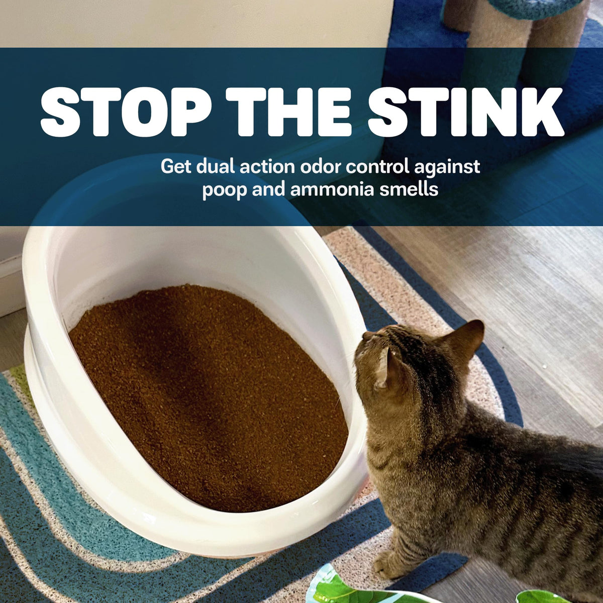 Walnut Shells Cat Litter, Multi-Cat, Unscented, 26 Lbs B49781