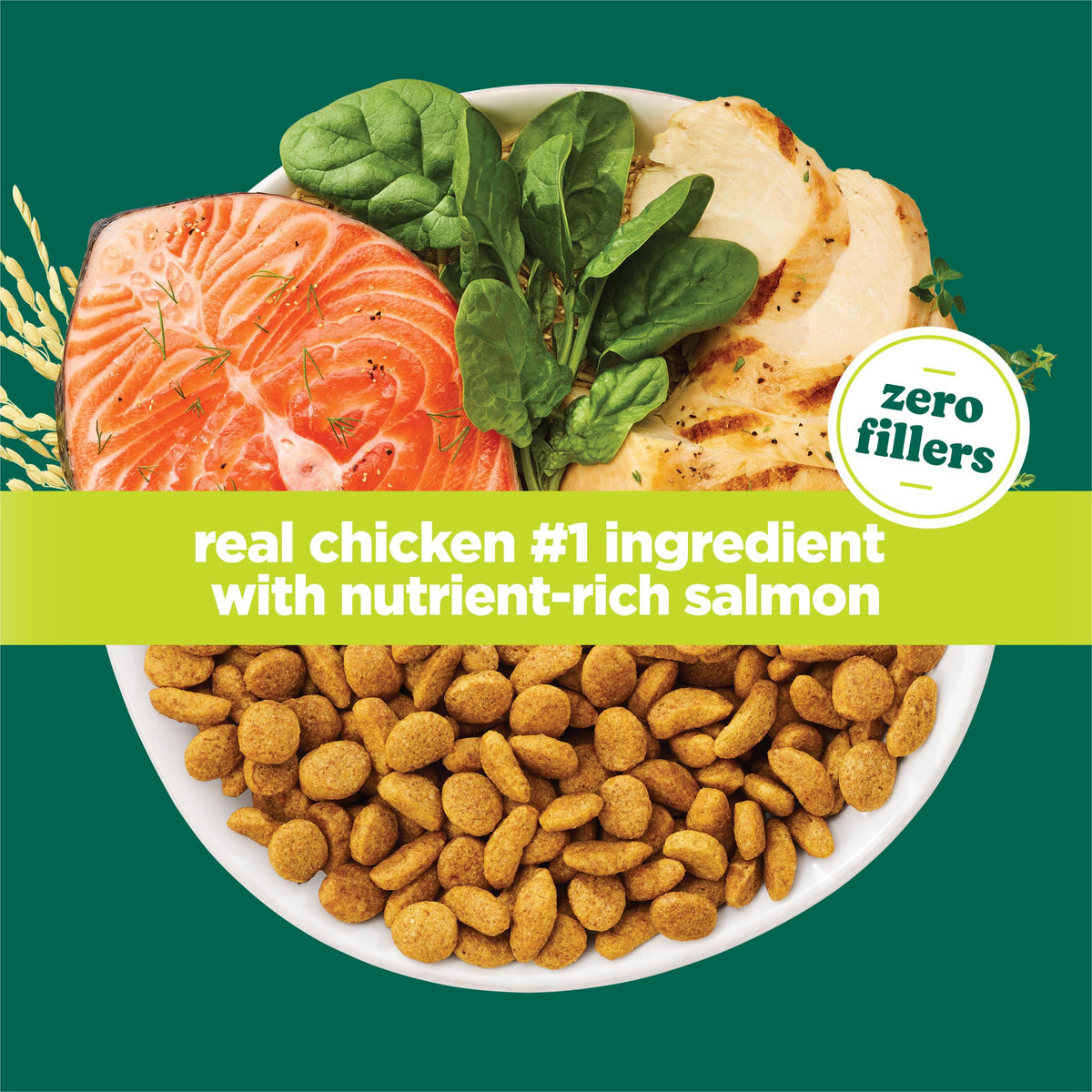 High Protein Dry Cat Food, 13 lb Bags Z540